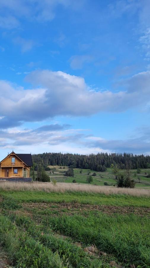 Hamajdowka Villa Zubrzyca Gorna Buitenkant foto
